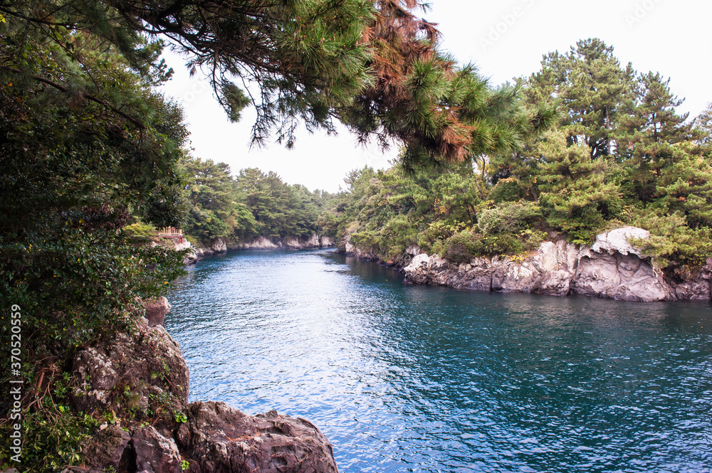 Beautiful landscape of seaside,trees, forest and blue sky.