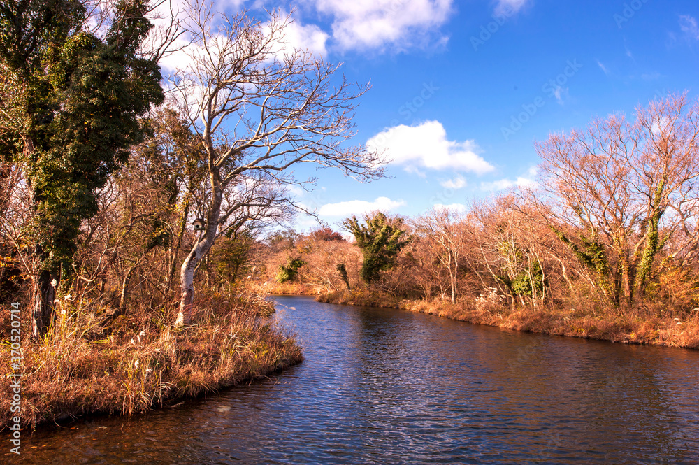 The lake landscape in spring on the background of green grass and tree.