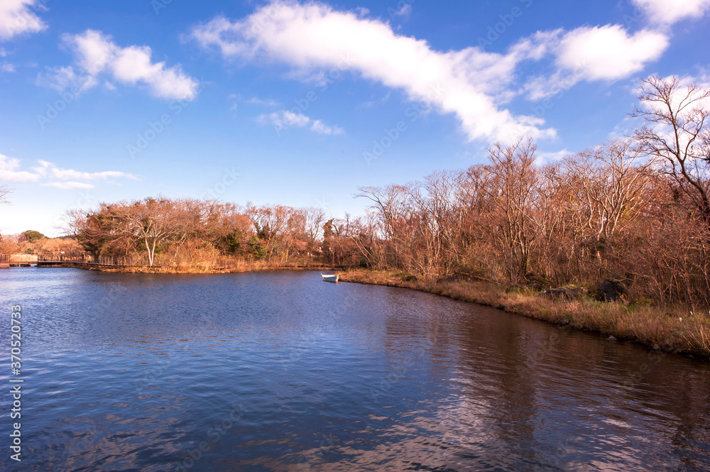 The lake landscape in spring on the background of green grass and tree.