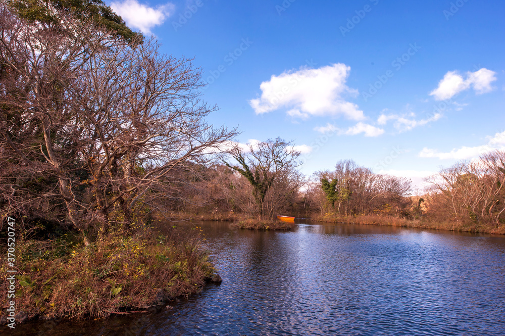 The lake landscape in spring on the background of green grass and tree. The lake landscape in spring on the background of green grass and tree.