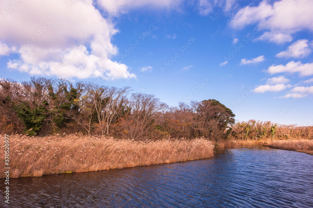 The lake landscape in spring on the background of green grass and tree. The lake landscape in spring on the background of green grass and tree.
