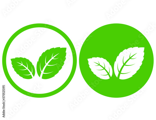 natural green mint leaves icon in frame
