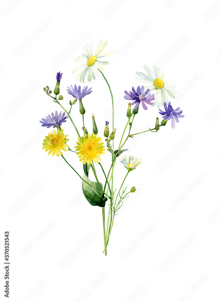 Watercolor bouquet of blue and yellow wild flowers and daisies on white background For congratulations, invitations, anniversaries, weddings, birthday