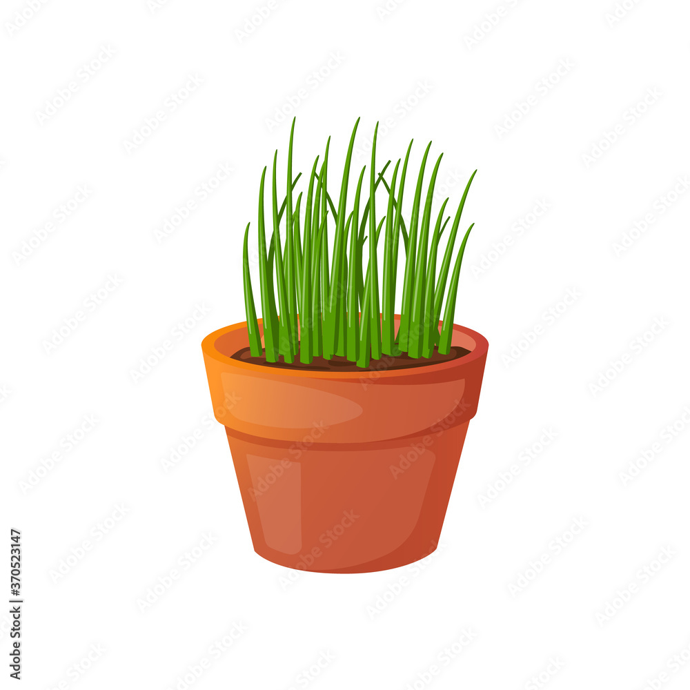Pot with grass for cats in cartoon style. Pot with grass for cats in cartoon style.