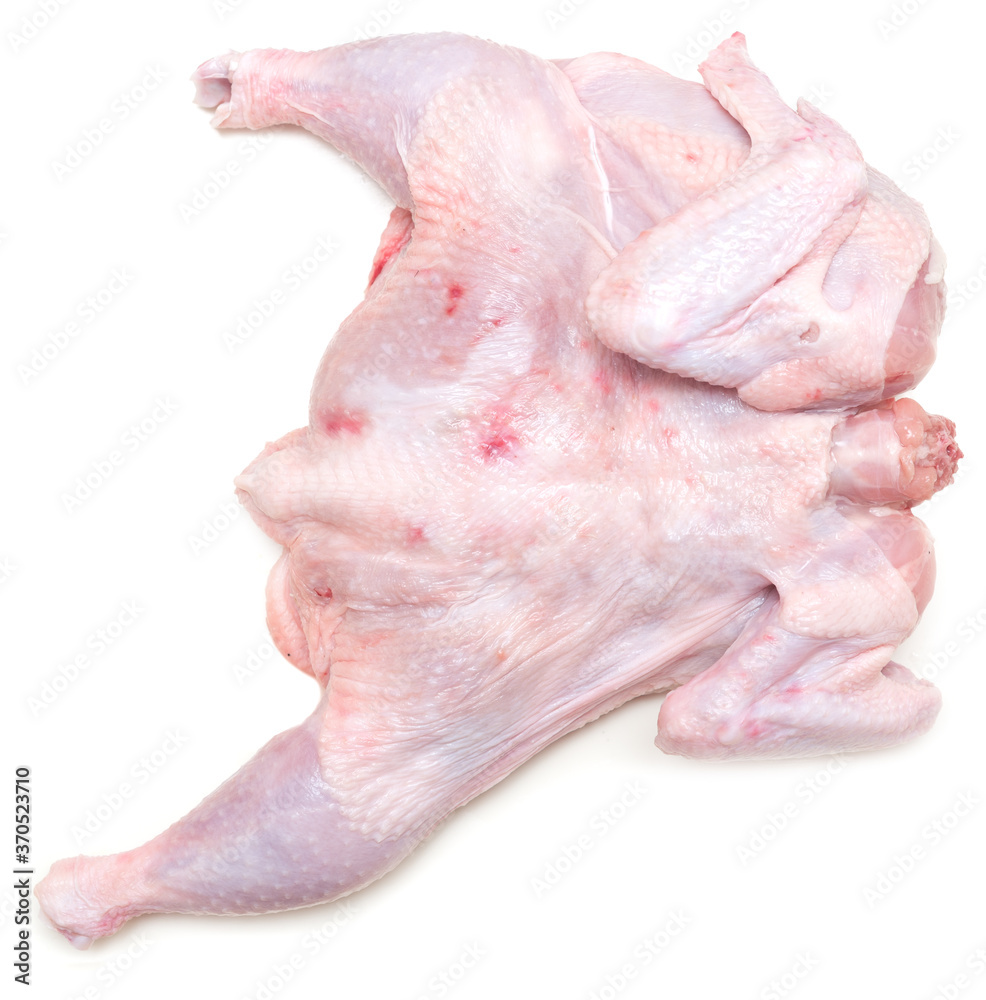 Chicken on white Chicken on white