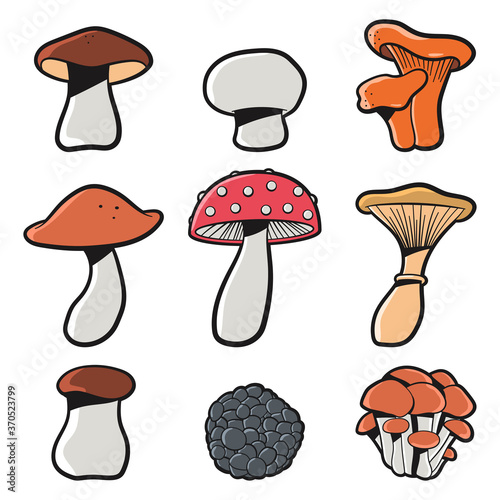 Mushrooms vector cartoon set isolated on a white background.