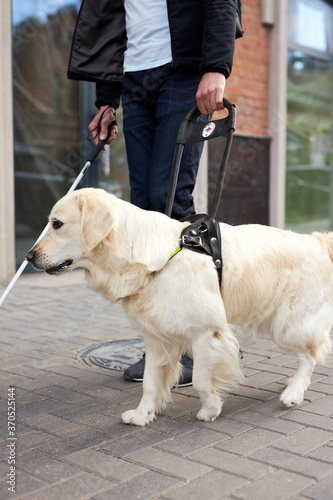 unrecognizable blind man with helpful dog guide, man walk holding cane for disabled people, he is assisted by dog, cross streets together