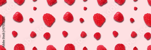 raspberry over pink background, panoramic image