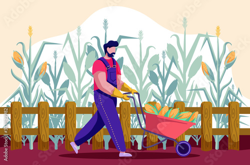 The farmer in overalls carrying a red wheelbarrow full of corn through a field. Colorful vector illustration. 