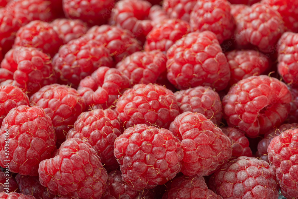 Food background. Close-up of raspberries. Macro shot. Food background. Close-up of raspberries. Macro shot.