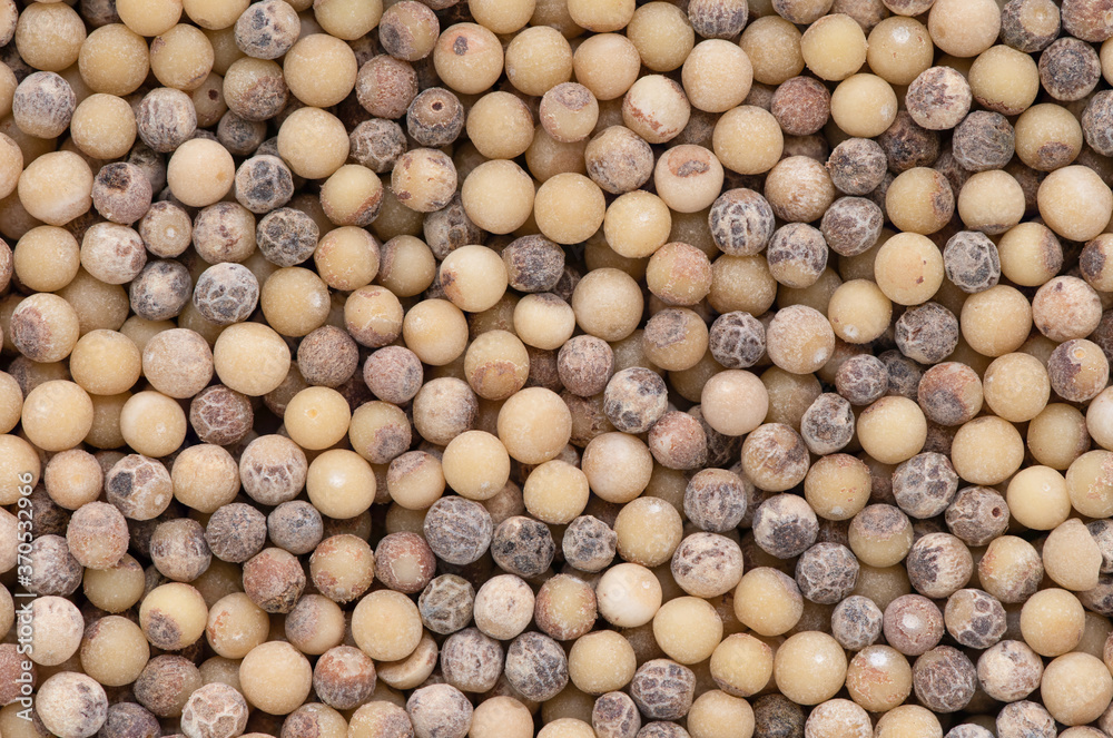 abstract white pepper texture background abstract white pepper texture background