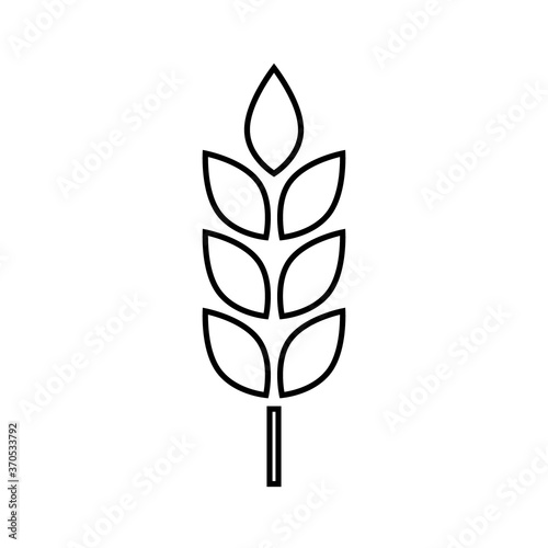 Wheat cereal outline icon. Fiber oat. Logo bakery. Spike wheat. Bread grain isolated on background. Seed flour barley, corn, rye, malt, bran, millet, maize. Silhouette stalk ear of wheat. Sign crop