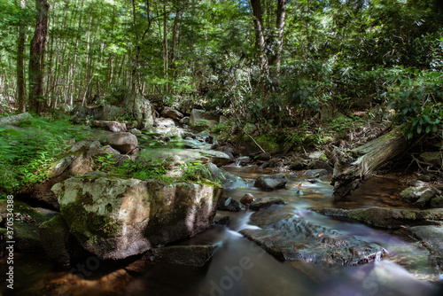 Even during periods of low water the stream provides beauty
