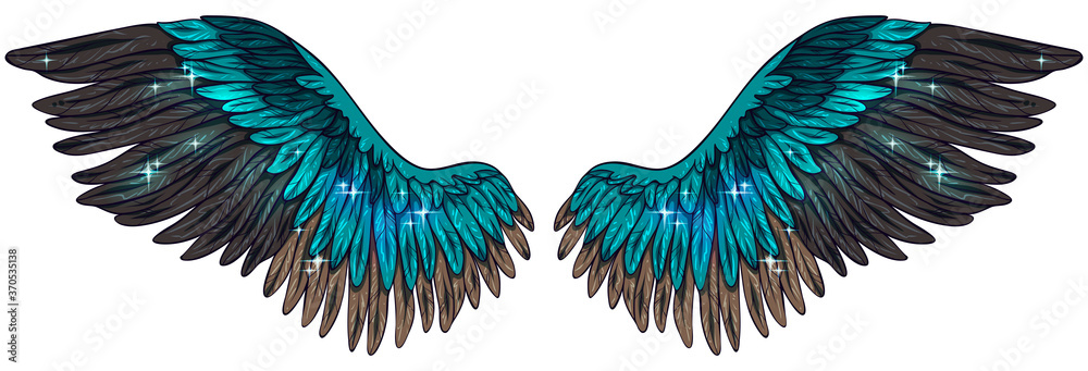 Fototapeta Beautiful magic shiny tuquoise brown magic angel wings, vector
