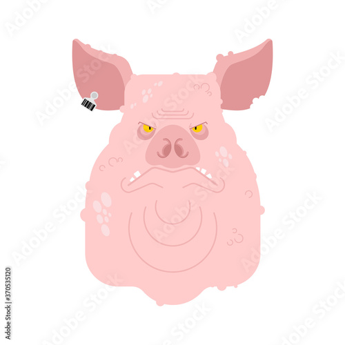 Pig boss. Big fat nasty pig. vector illustration