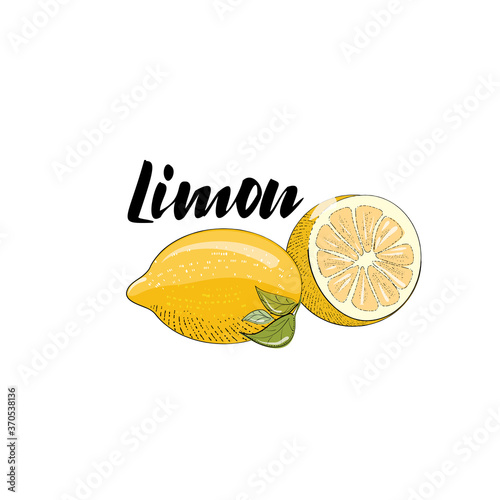 Vector image of a lemon, half a lemon and the title "lemon". Illustration isolated on a white background in simple hand-drawn lines, with elements of retro style.
