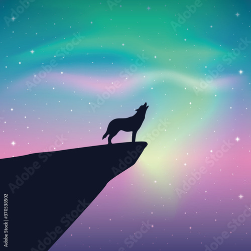 howling wolf looks in the colorful starry sky with aurora borealis vector illustration EPS10