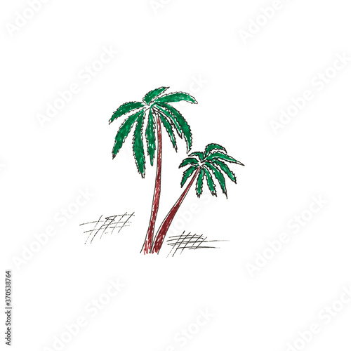 Hand drawn palm trees with green leaves. Doodle style illustration for wallpapers  textiles  fashion banners  cards  posters.