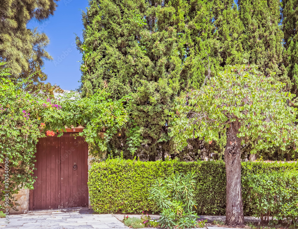 house garden behind old wooden door and green foliage fence house garden behind old wooden door and green foliage fence