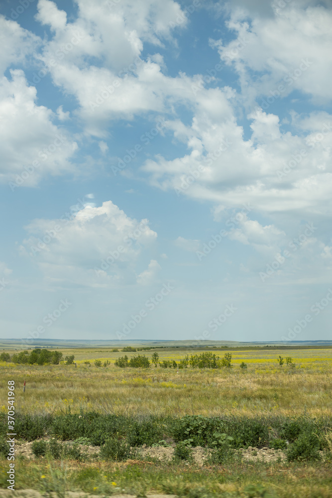 Obraz premium landscape