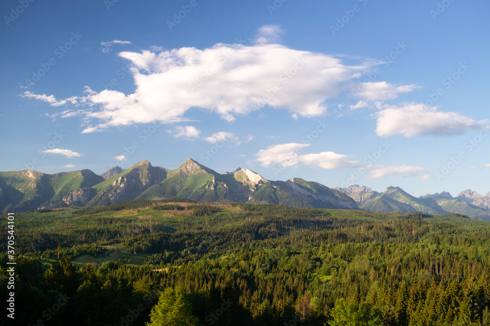 Fototapeta premium Przełęcz nad Łapszanką Panorama Tatr