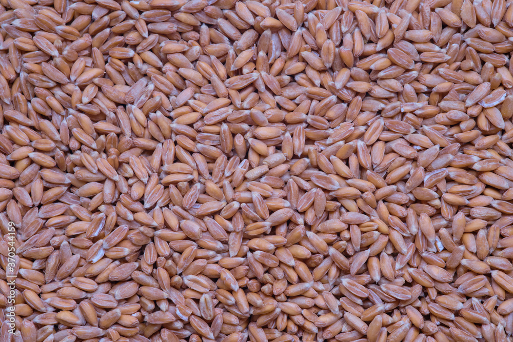 Natural dry cereal seeds for the site with the inscription, top view. Natural dry cereal seeds for the site with the inscription, top view.