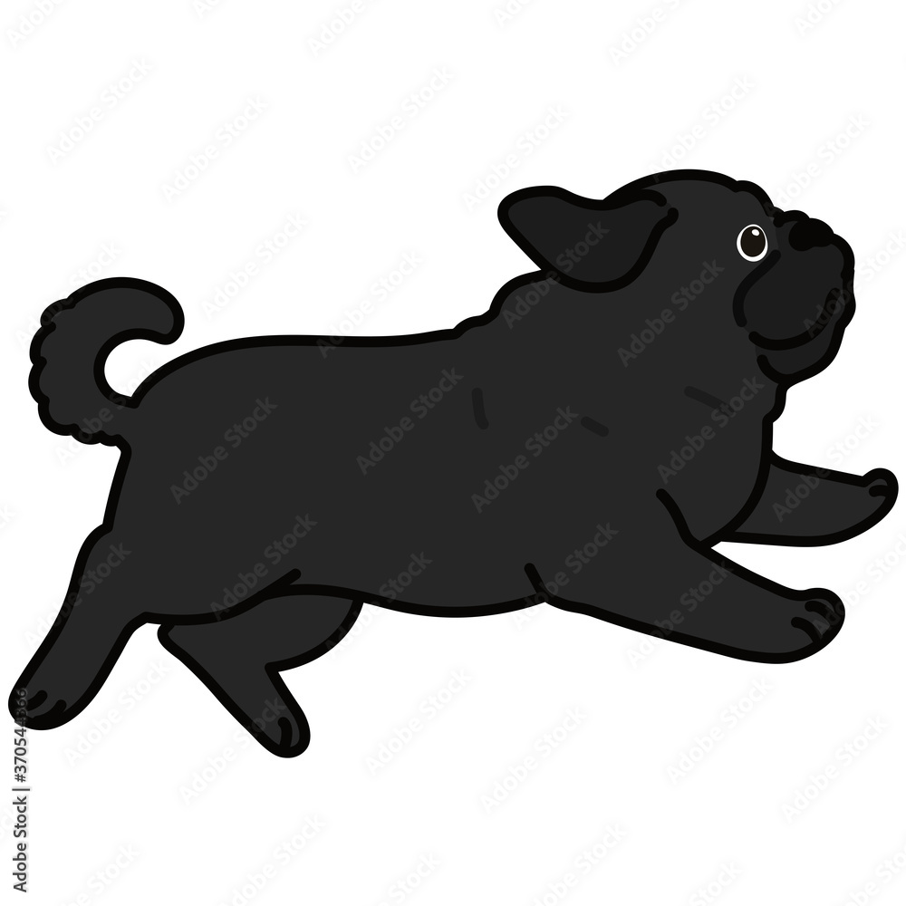 Obraz premium Outlined simple and cute black pug jumping