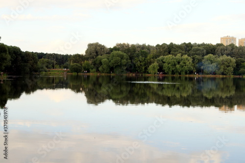 summer landscape of the pond in the city Park