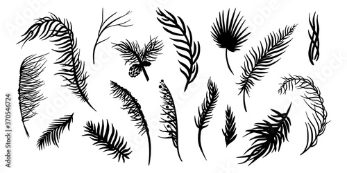 Wallpaper Mural Set of hand draw tropical palm leaves, branches and floral elements. Perfect for tattoo, textile, cards, posters Torontodigital.ca