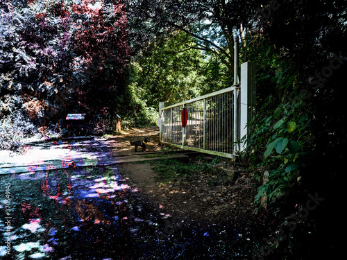 Fotografie LEVEL CROSSING - WHITE GATES
