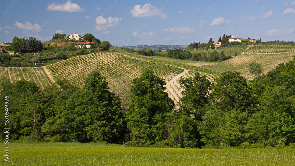 Obraz premium Landscape near San Gimignano, Province of Siena, Tuscany, Italy, Europe 