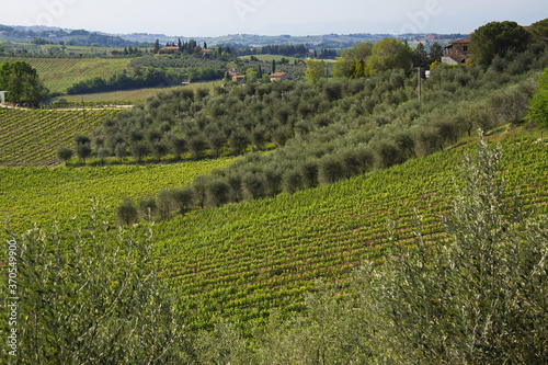 Landscape near San Gimignano, Province of Siena, Tuscany, Italy, Europe 