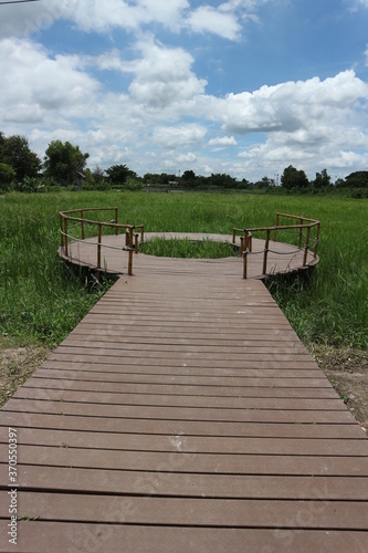 wooden bridge over the river and the field