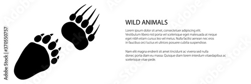 Banner of track of forest animal, traces of a predatory animal bear, vector illustration
