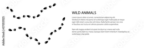 Banner of track of forest animal, traces of a predatory animal bear, vector illustration