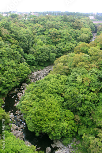 The high angle forest at Cheonjeyeon Falls. jeju island . korea