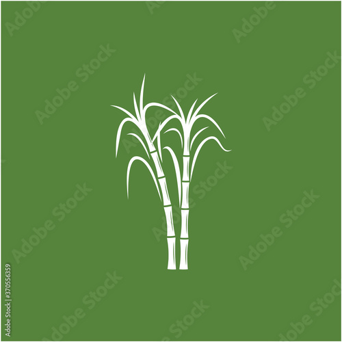 Sugar cane Logo Template vector symbol