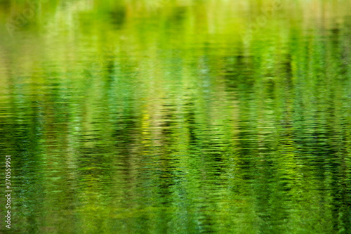 Natural textures in nature, on the water of a lake