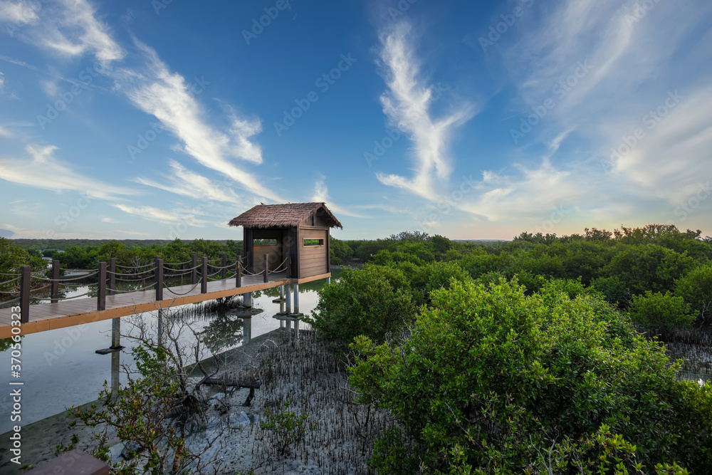 Purple Island full of Mangrove in Thakira. Known as Dakhira Purple Island full of Mangrove in Thakira. Known as Dakhira