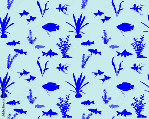 Seamless pattern with freshwater fishes and water plants in silhouette. Species of fish  gourami  swordtail  danio  rainbowfish  rainbow shark labeo  nothobranchius