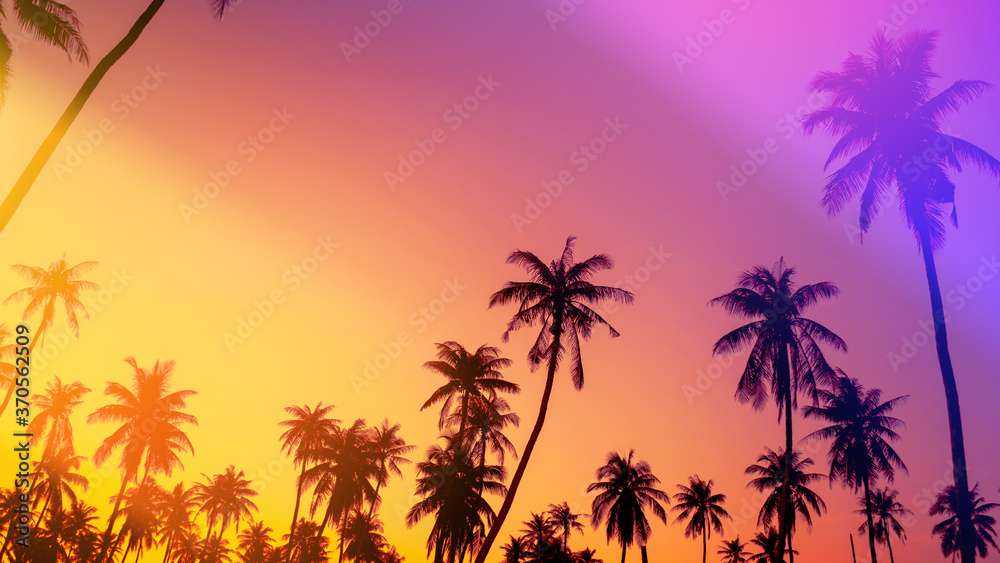 Copy space of silhouette tropical palm tree on sunset sky with bokeh light leak abstract background. Summer vacation and nature travel adventure concept.