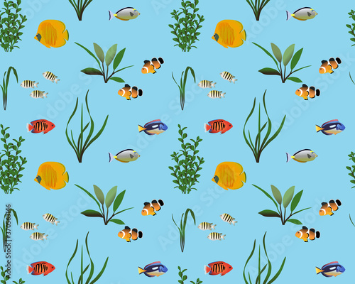 Seamless pattern with marine fishes and water plants in colour image. Species of fish: butterflyfish, angelfish, surgeonfish (tang), unicornfish, clownfish, sergeant major