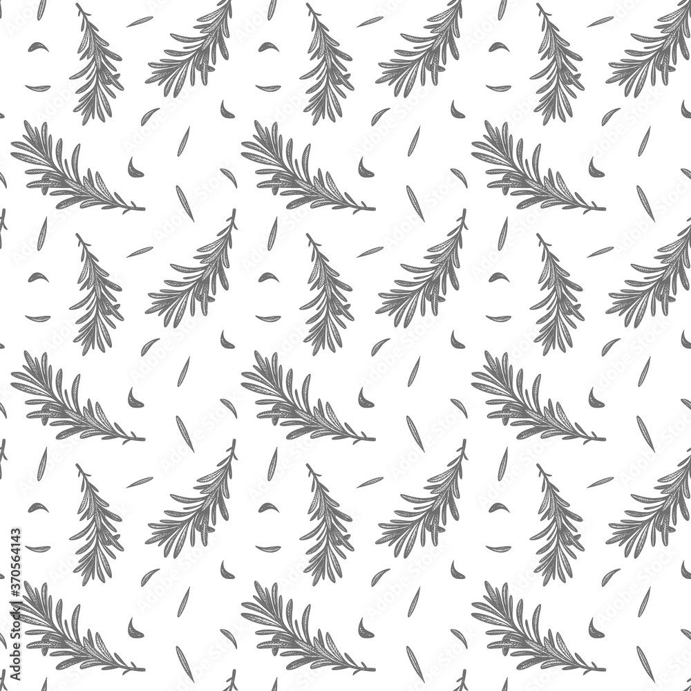vector seamless pattern with rosemary drawn elements.