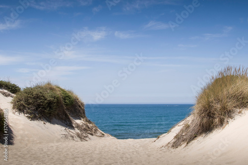 Beach with grassy dunes