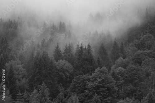 Mgła zawisła ponad szczytami drzew w górach © art3emis