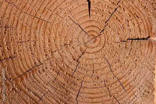 wood texture and its core, close-up