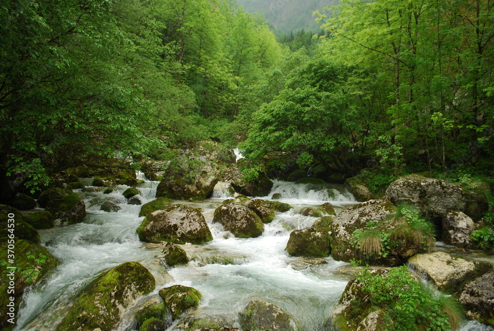 Fototapeta premium Wasserfälle Slowenien