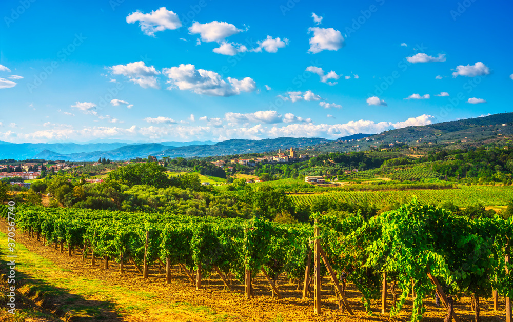 Vinci, sangiovese vineyards and village on background. Florence, Tuscany Italy