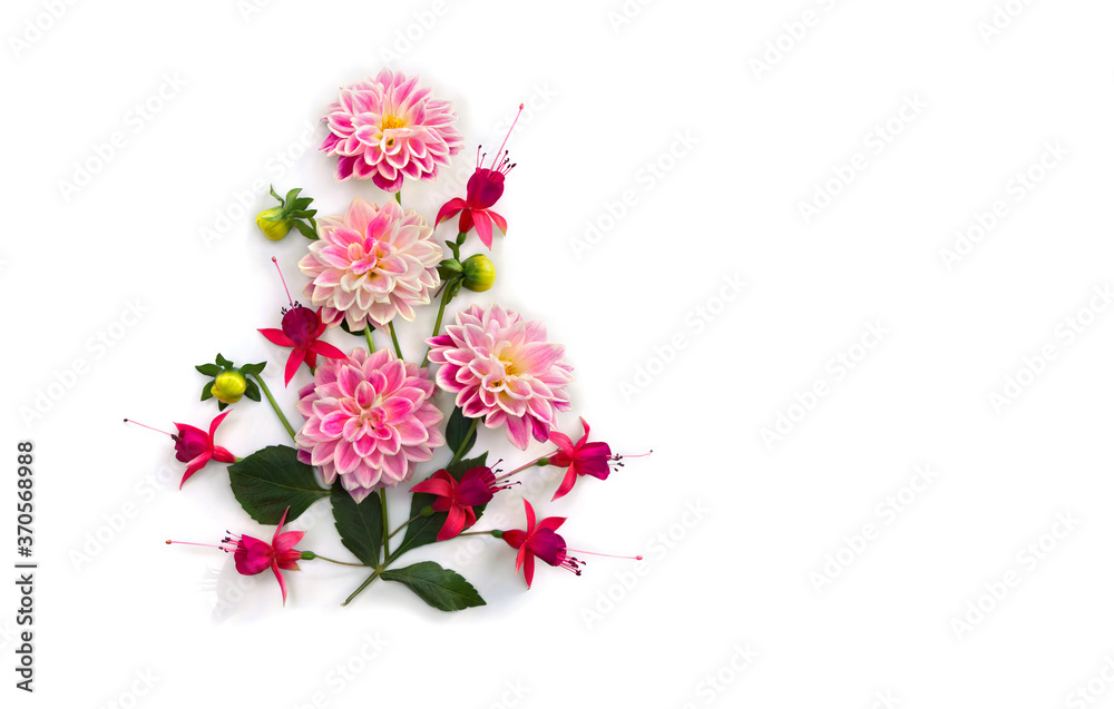 Flowers pink dahlia and red fuchsia triphylla on a white background with space for text. Top view, flat lay