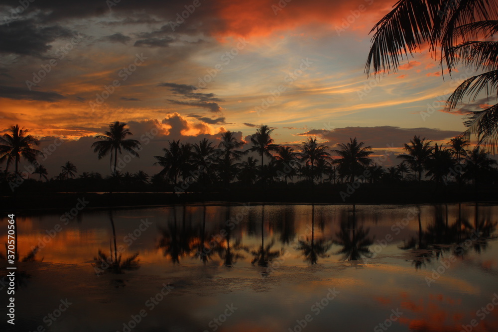 This a images silhouettes of coconut trees in a beautiful sunset